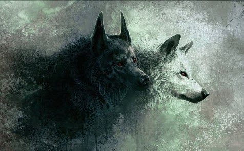 Welchen Wolf fütterst du?